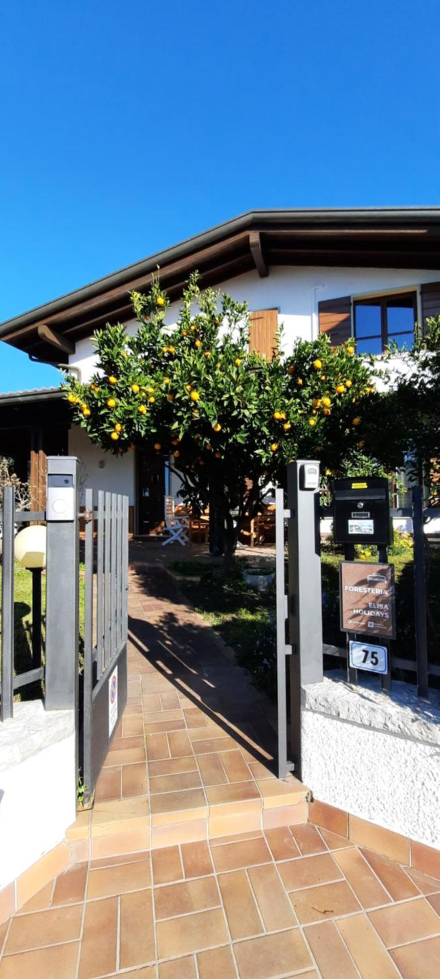 Elisa Holidays Apartments Puegnago del Garda Exterior photo